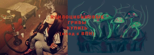 кокс Алексин