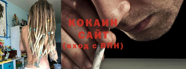 кокс Алексин