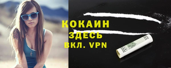 кокс Алексин