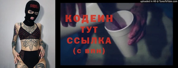 кокс Алексин