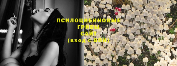 дживик Алзамай