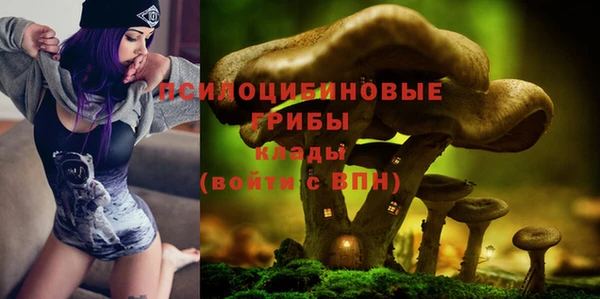 дживик Алзамай