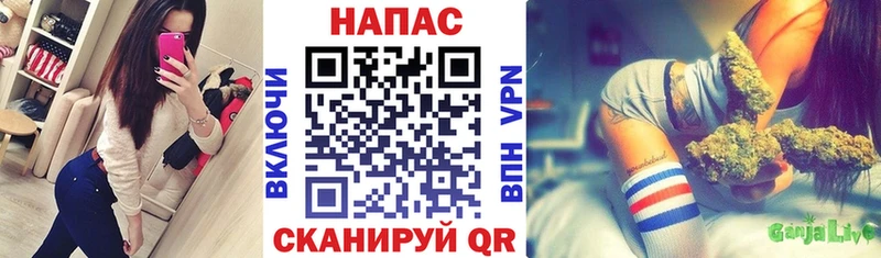 купить закладку  Заполярный  Конопля SATIVA & INDICA 